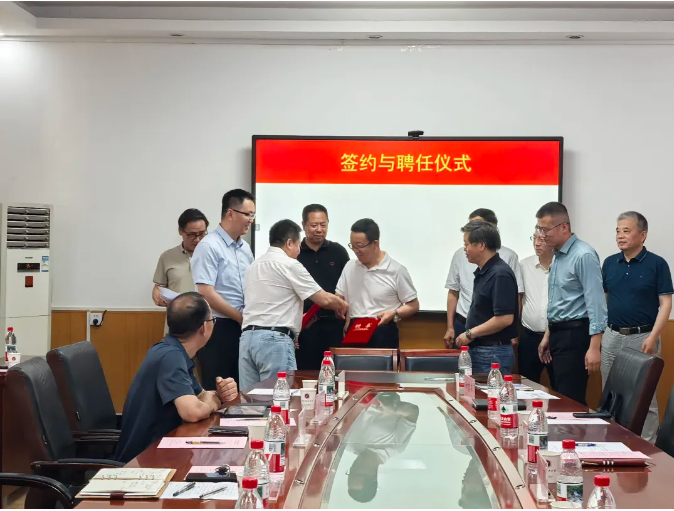 1749172033643310.png image.png